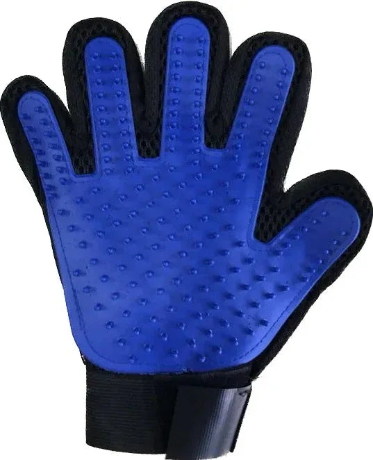 Blue grooming glove with black accents on a white background

